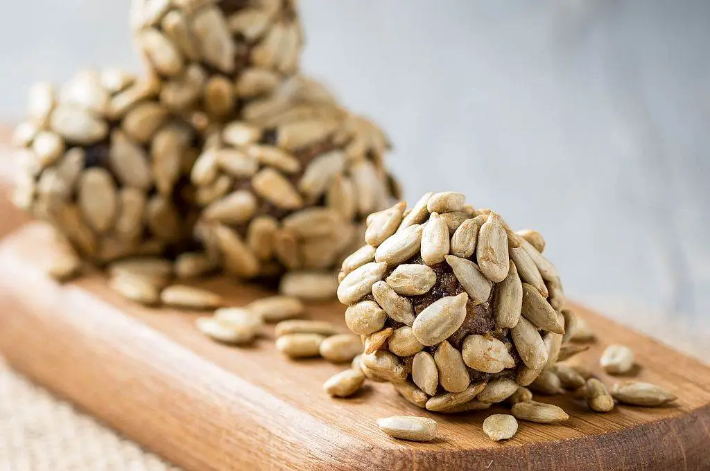 Ketering-Milijašević - Kuglice sa suncokretom